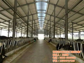 青州市开发区润江温控设备厂 一站式畜牧环境温控解决方案专家